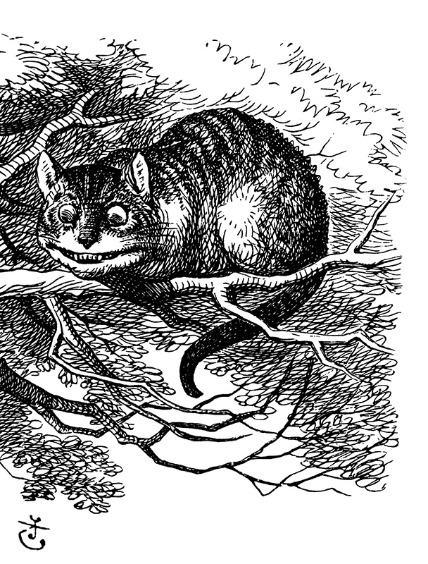 cheshire cat image